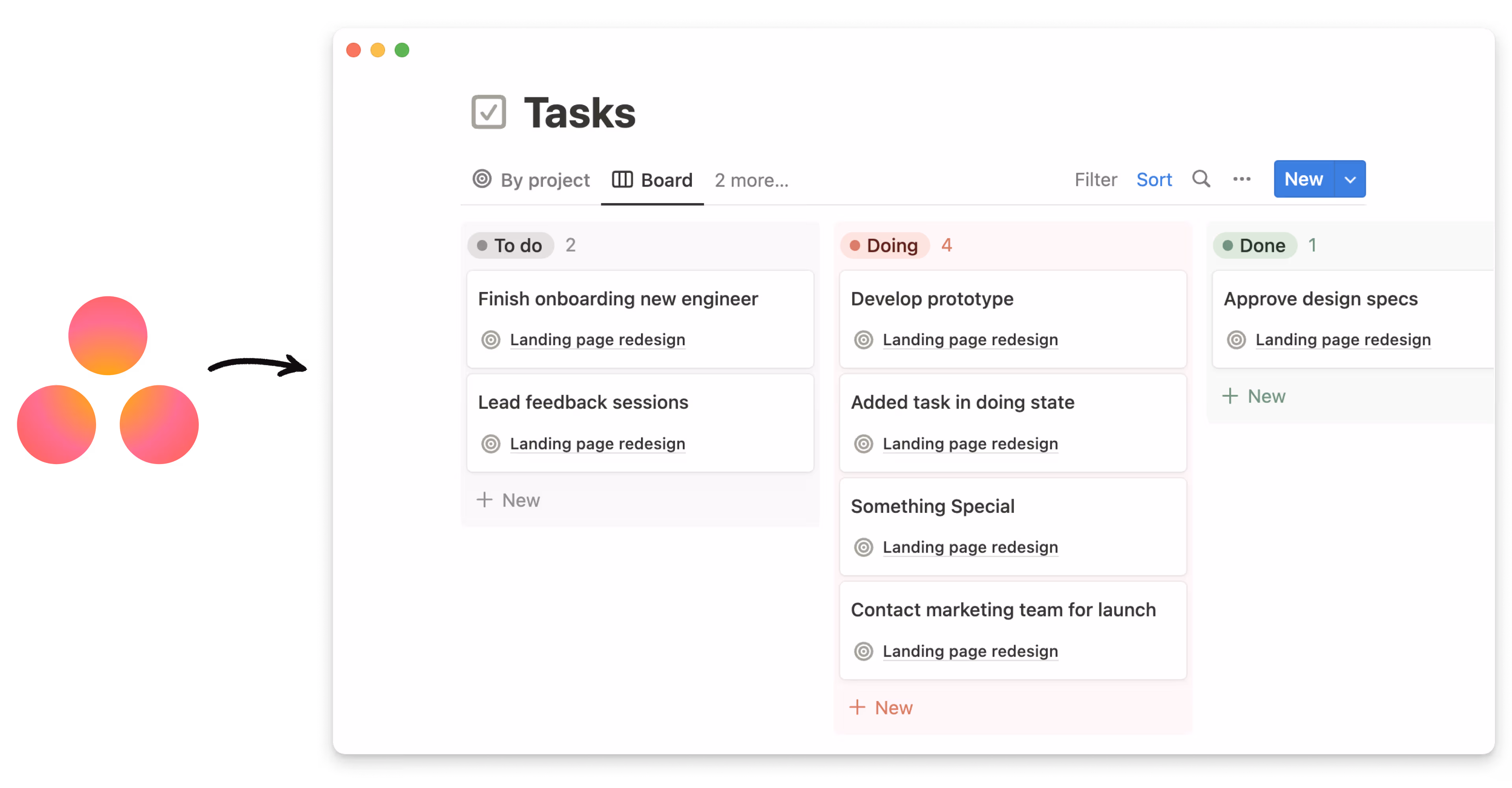 asana importer whats new