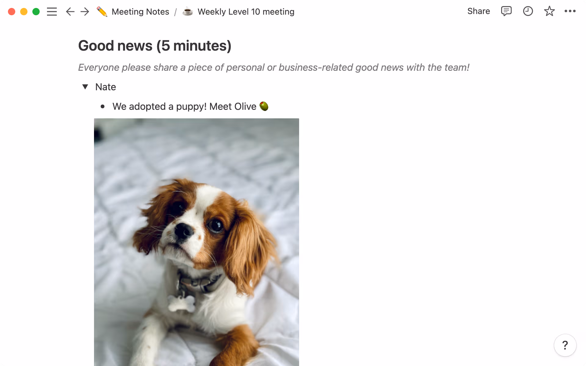 Use toggles so each person has their own space to share good news.
